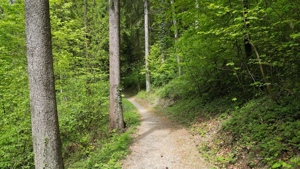 A forest path: an instruction, a record, and a possibility for movement.